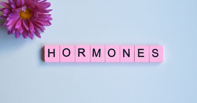 What Hormones Cause Oily Skin? Everything You Need to Know