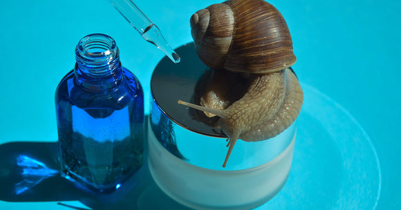 Snail Mucin - Benefits, Side Effects, Usage