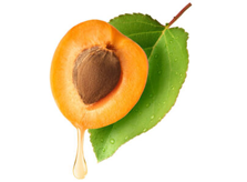 Apricot Kernel Oil