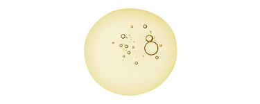 Hydrolyzed_Rice_Protein