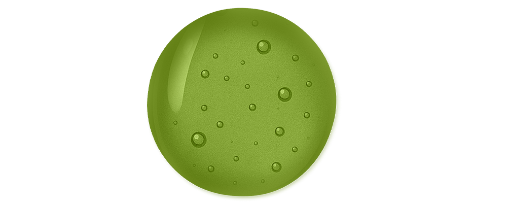 Mentha Piperita (Peppermint) Extract