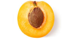 Apricot<br>Kernel Oil