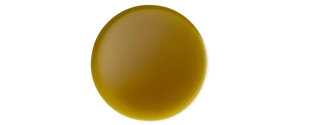 Morus Bombycis Root Extract