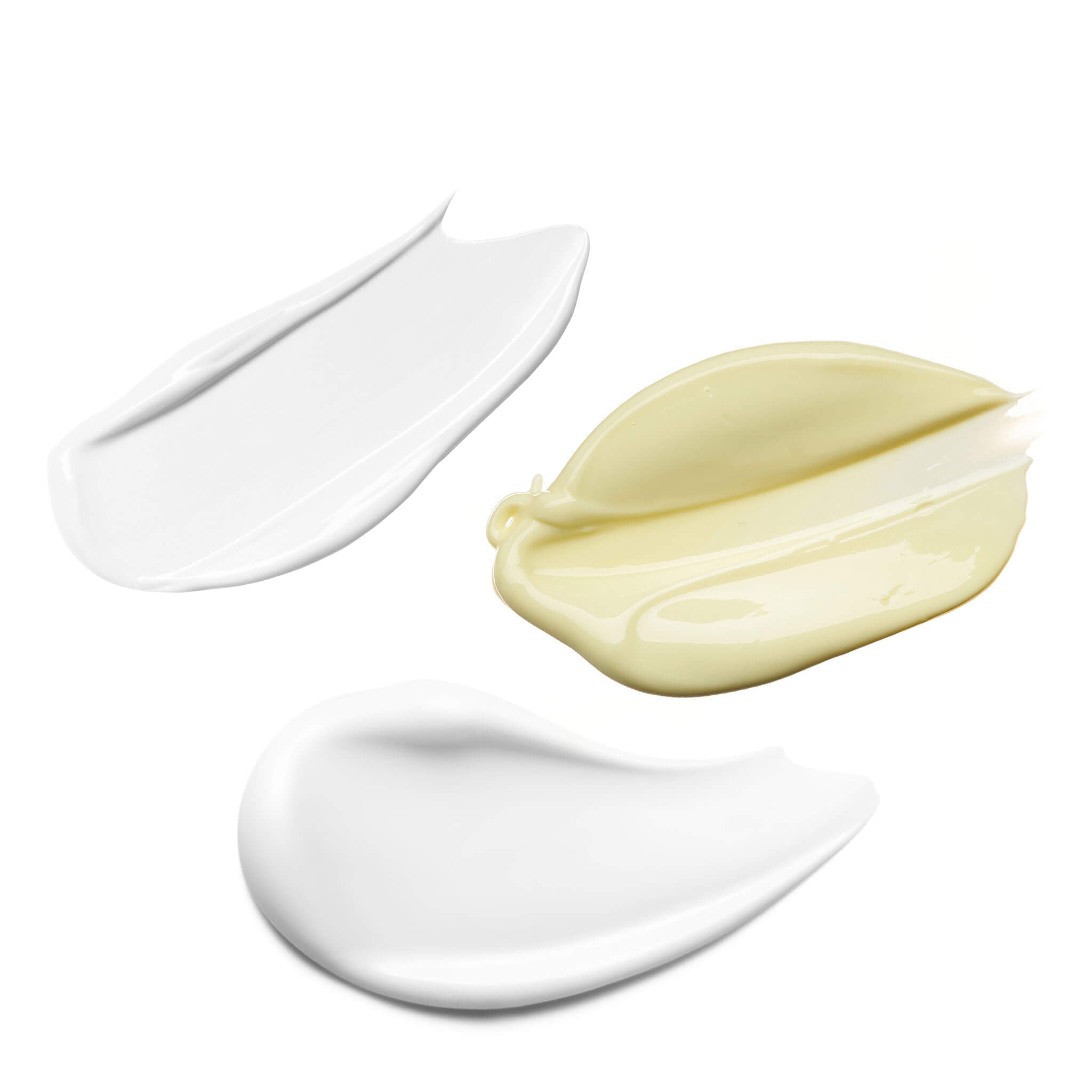 STEMBIOME スキンケア Probiotic Daytime Moisturizer SPF 15 | Antioxidants & Zinc – SeneGence